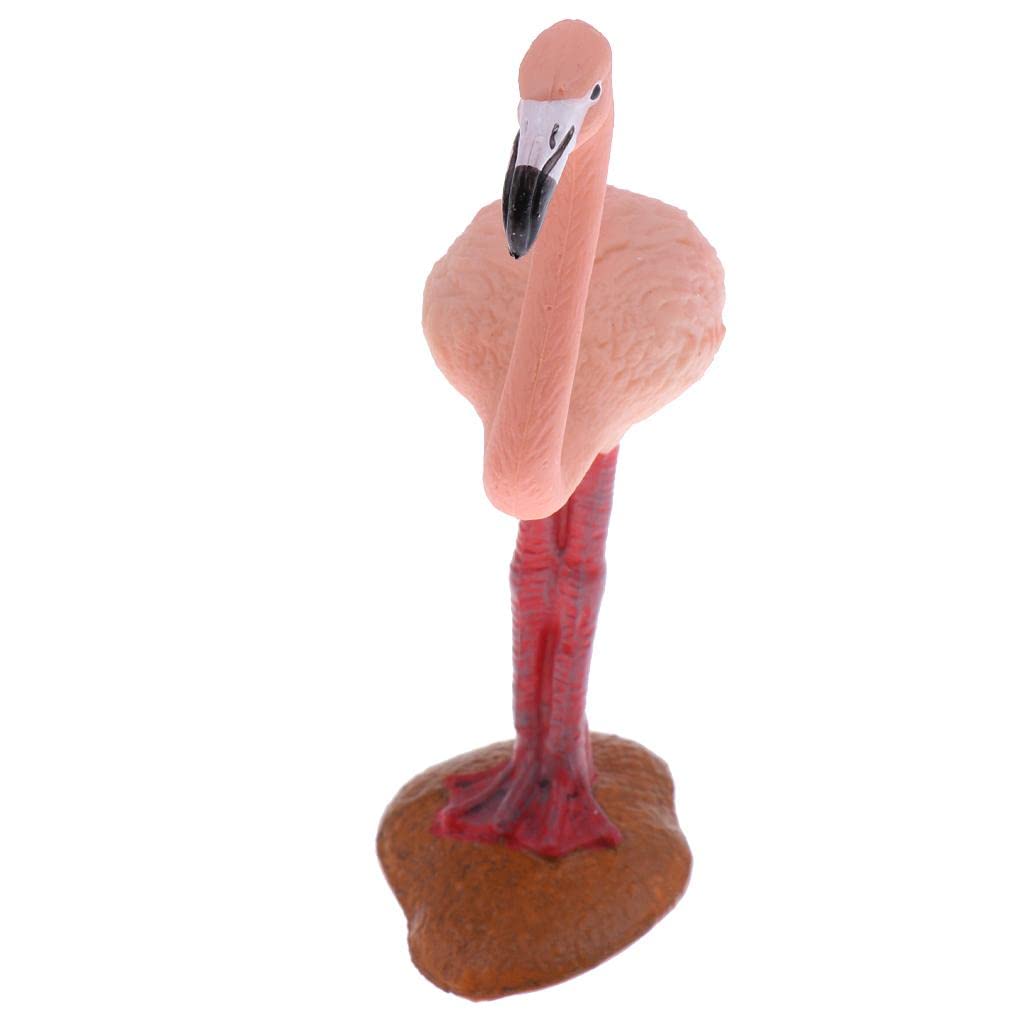 Enakshi (LABEL) Simulation Wildlife Jungle Flamingo Bird Animal Model Action Figures Toys Kid Educational Toy Home Office Collectibles Decoration - C (B0D7ZX2P9G) Amazon Price History, Amazon Price Tracker