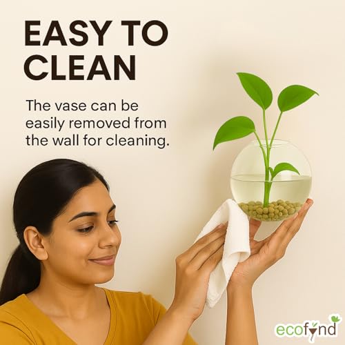 Image of ecofynd Glass Vase for Flowers Plants, Modern Decorative Vase for Home Decor Center Table, Bedroom, Living Room, Office Decoration, Wedding or Gifts, Fish Tank (GVASE007)