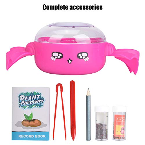 Kit de jardim de sementes não tóxico, prato de cultivo de sementes, amigos simples para casa