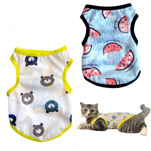 XHLFLZSR 2 Pieces Cat T-Shirt, Small Dog Sleeveless Summer Breathable Vest, Kitten and Puppy Clothes, Cat Outfit, Pet Apparels (Cute Bear/BuleMelon Size: XL)