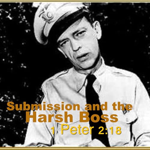 Couverture de Submission and the Harsh Boss: 1 Peter 2:18