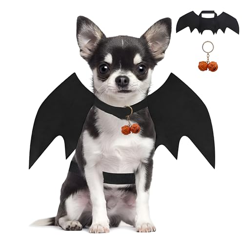 Disfraz de Halloween para Perro - Alas de Murciélagos Con Campana de Calabaza - para Perros Pequeños y Gatos (M)