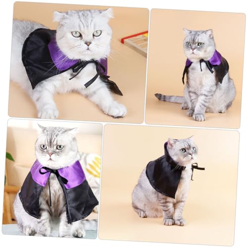 Disfraz Halloween para perro con capa y sombrero miniatura 4