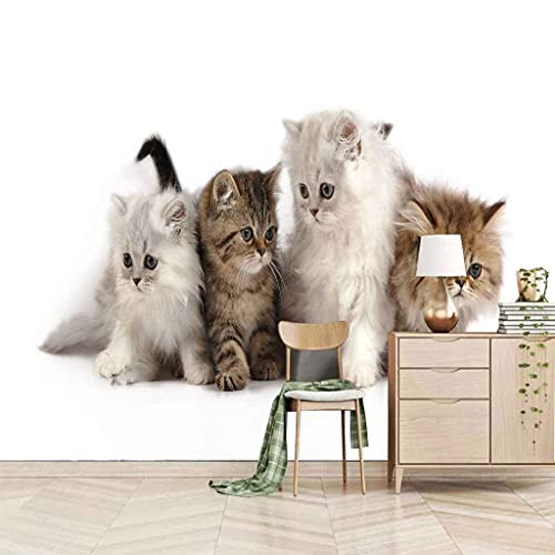 Papier peint chaton 3D auto-adhésif pour rénover sans colle - 2