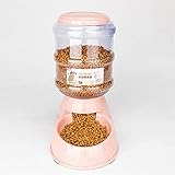 Preparar un comedero para perros y gatos tan personalizado es el primer paso para establecer buenos hábitos alimenticios.