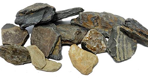 Natural Aquarium Stones Brown/Grey Slate - Size 1 to 3 Inch. PH Neutral. Perfect Rocks for Aquascaping Planted Aquariums, Cichlid and Nano Tanks, Reptile and Amphibian Enclosures (5 lbs) (1-3 inch)