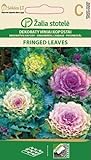 Seklos LT | ZIERKOHL FRINGED LEAVES | Einjährig Blumen...