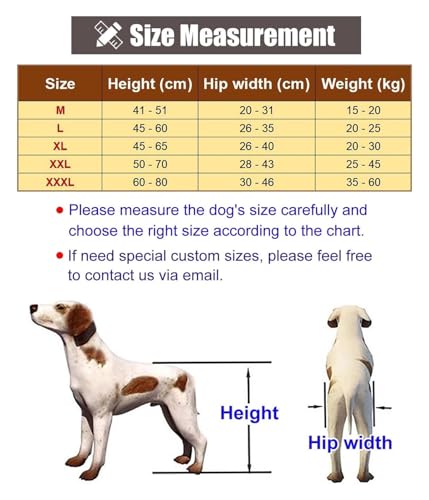 Déambulateur de Rééducation à Roulettes pour Chien Handicapé XXL - 7