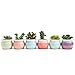 SUN-E 3 Inch Concise Style Container Bonsai Planters Ceramic Flowing Glaze Base Serial Set Six Color Succulent Planter Pot Cactus Plant Pot Flower Pot Window Box with Hole(6 in Set)