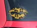 Lips Decal 9x5.5 Leopard Skin