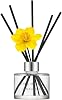 Cocodor Daffodil Diffuser 120 ml (4.0oz) Vanilla & Sandalwood