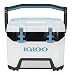 Igloo BMX 25 Quart Glacière Blanc