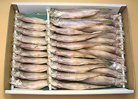 北海道四季工房 北海道産天然シシャモ メス