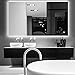 Hans& Alice LED Backlit Mirror, Bathroom Lighted Makeup Mirror–Dimmable, Anti Fog, Touch Screen and 90+ CRI (48''x30'')