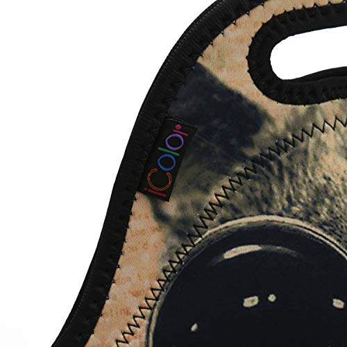 Icolor Cool Cat Neoprene Lunch Tote Bag, Kids Thermal Lunch Carrying Bag, Lunch Box & Food Container, Insulated Soft Lunchbox, Food Storage Cooler - Great Gift For Boys,Girls (Hst-Lb-130) #TOP2