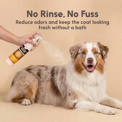 Image of Best Shot Scentament Spa Botanical Body Splash, Body Spray Conditioner for Pets, Cat and Dog Cologne Spray, Alcohol-Free, Ready-to-Use Detangler Spray, Pina Colada, 8 Oz.