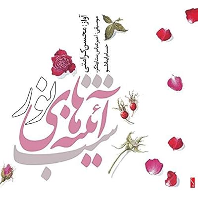 Mohsen - Amir Abbas Setayeshgar - Hesam Keramati - The Night Of Mirrors Of The Light