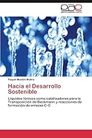 Hacia El Desarrollo Sostenible 384433906X Book Cover