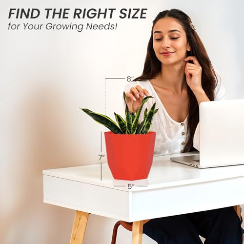 Image of YUCCABE ITALIA SHERA Hexa Plastic Planter Pot for Plants | Decorative Flower Pot | UV Protected Lightweight Indoor Outdoor Gamla for Home Decor, Balcony, Garden & Living Room
