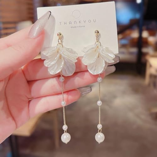 sAX VFt[ O XEBOp[   ANZ 킢