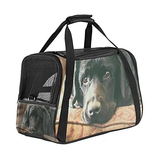 Portable Pet Carrier Bag - Airline Approved