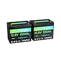 Dyness 12V 100Ah Mini LiFePO4 Battery 2 Pack Group 24, 12 Volt Deep Cycle Lithium Battery with 100A BMS, Low-Temp Protection & 10 Years Lifespan for RV, Boat, Trolling Motor, Solar Off-Grid, Golf Cart