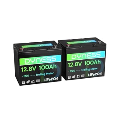 Dyness 12V 100Ah Mini LiFePO4 Battery 2 Pack Group 24, 12 Volt Deep Cycle Lithium Battery with 100A BMS, Low-Temp Protection & 10 Years Lifespan for RV, Boat, Trolling Motor, Solar Off-Grid, Golf Cart