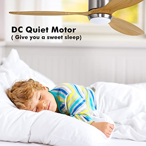 Ovlaim 60 inch Led Ceiling Fan Crazymos