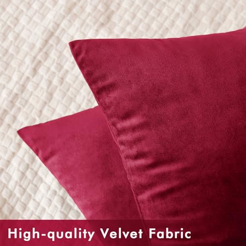 Slozzi Set of 2 Velvet Cushion Covers, Household Decorative Cushion Cover, Soft Sofa Cushion for Sofa Bedroom, Living Room - Image 4