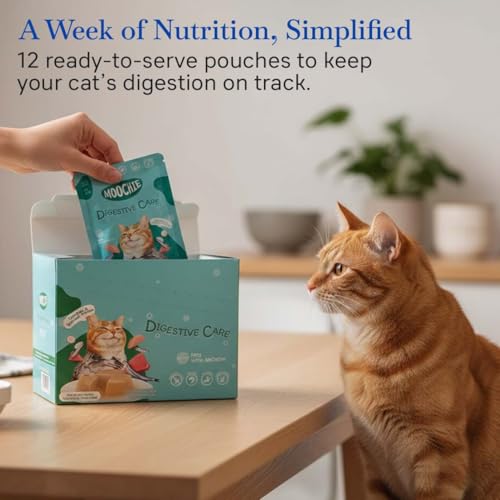 Image of Moochie Cat Wet Food Digestive Care (85g x Pack of 36)| Pate with Anchovy | Cat Probiotics and Digestive Enzymes Food | Health Supplement for Better Immune System.