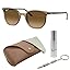 Striped Green Frame | Polarized Brown Gradient Lens
