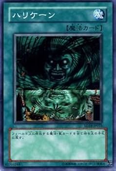 【世界に1枚】 遊戯王 ハリケーン 韓亜版 PSA10 SD16-AE025 世界に1枚】 遊戯王 ハリケーン 韓亜版 PSA10 SD16-AE025 - メルカリ
