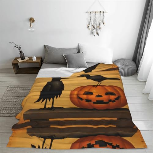 Couverture en flanelle ultra douce grand format plaid canapé
