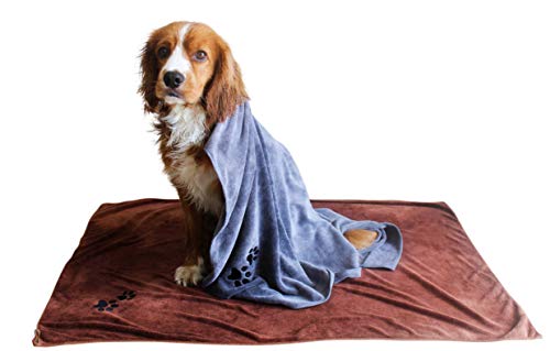 Immacolata Textiles - Asciugamani per cani in