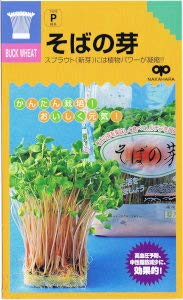 中原採種場 かんたんスプラウト そばの芽