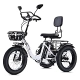 NARRAK Electric Tricycle for Adults Seniors, 750W Fat Tire 3 Wheel E-Trike, 48V 13Ah UL 2849 Battery, 55-Mile Max Range, Semi-Recumbent Trike with 3 Hydraulic Brakes (Premium Model, N8-White)