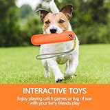 Hundespielzeug,Schwimm Spielzeug für Hunde Wasserspielzeug 22cm Wasser Interaktives Hundespielzeug Hundetraining mit Nylon Rope Trainieren Apportieren im Wasser Spielzeug für Mittelgroße,Große Hunde