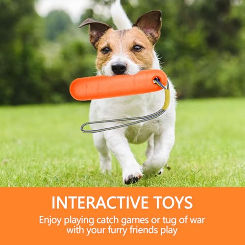 Hundespielzeug,Schwimm Spielzeug für Hunde Wasserspielzeug 22cm Wasser Interaktives Hundespielzeug Hundetraining mit Nylon Rope Trainieren Apportieren im Wasser Spielzeug für Mittelgroße,Große Hunde