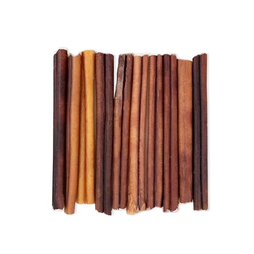 Image of GigaBite Bully Sticks for Dogs All Natural Beef Pizzle Dog Chews, Odor & Rawhide Free Dog Treats, Long Lasting High Protein Chews Digestible Dental Dog Treat - Sticks (Regular 6 inch), Pack of 10