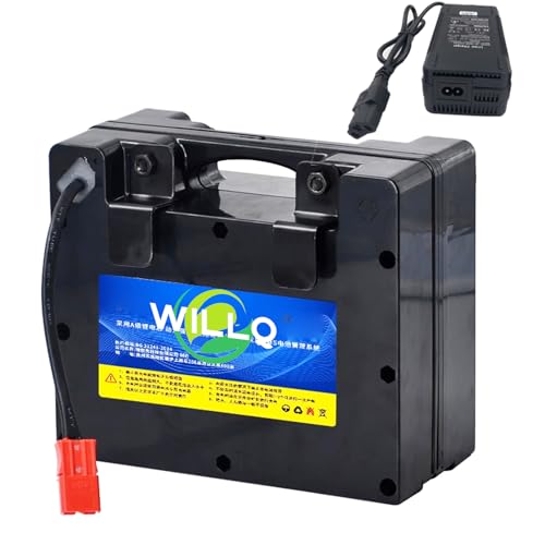 WILLQ Batería de Litio de Repuesto para Silla de Ruedas de 24 voltios LiFePO4 24V 8Ah 10Ah 12Ah 15Ah 18Ah 20Ah 25Ah 30Ah 40Ah 50Ah 60Ah 70Ah con Enchufe Anderson,24v10ah
