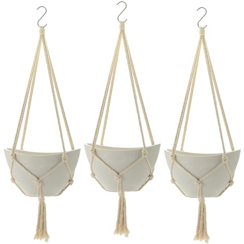 b`F(Richell) v^[ ݂蔫 {^j[ nMO{[ 25^ zCg 3Zbg   O y A ϗt A ~ 003417