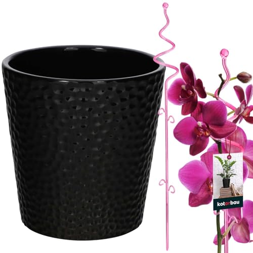 KOTARBAU® Blumentopf Schwarz Keramik glasiert 11 cm mit Pflanzenstütze Rosa PVC 58 cm Orchideentopf Keramik mit Blumenstütze Rankhilfe Pflanztopf Orchideenstab Stützstab dekorative Pflanzenhalter