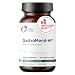 Designs for Health GastroMend HP - Gut Support with Mastic Gum + DGL (60 Capsules)