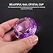FOMIYES Nail Art Crystal Mixing Cup Lid Portable Manicure Accessory for Liquid and Powder High-transparency Nail Dish for Professionals and Home Use