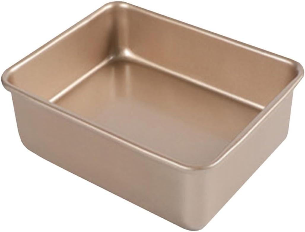 Square Non-stick Cake Pan and Bread Baking Pan 23.5x23.5x8cm, Oven-safe Barbecue Tray for Kitchen Baking and Roasting
