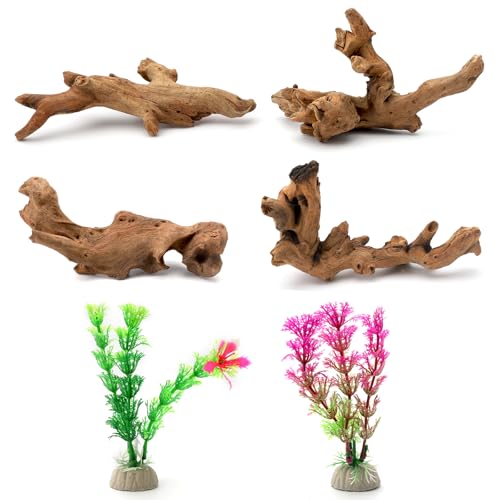 6 piezas pequeñas de madera natural flotante y plantas acuáticas simuladas para acuarios, madera flotante natural y ramas, madera flotante de acuario, decoración de ramas para piscinas de reptiles,