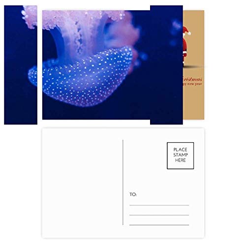 Cartes postales de Père Noël méduse, le lot parfait pour des vœux créatifs