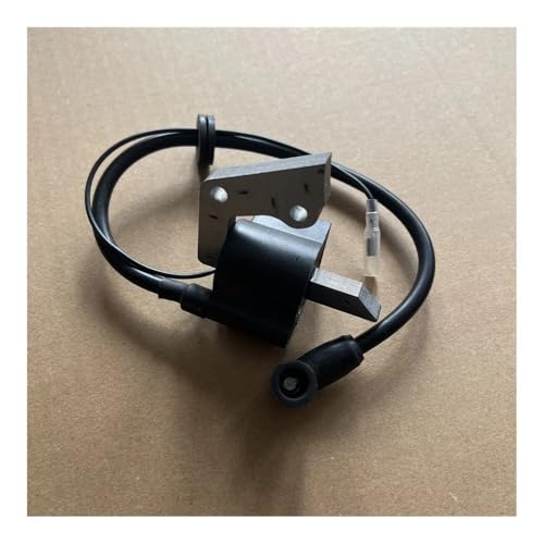 Bobine d'allumage EY15 résoudre ratés démarrage moteur EY152B 3.5HP