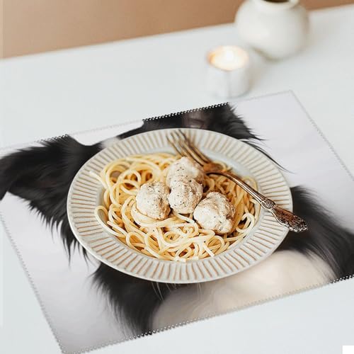 Sets de table Border Collie pour repas de fête et cuisine