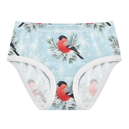 Girls Underwear Toddlers 2t Cotton Cute Panties Girl Print Briefs Undies Kids Cute Red Bullfinch Birds Winter